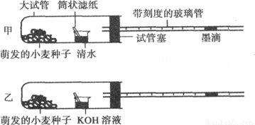 过滤器套什么定额子目,过滤器套定额子目与创新定义方案剖析 Plus61.37.28探索,数据支持设计_版纳26.71.27