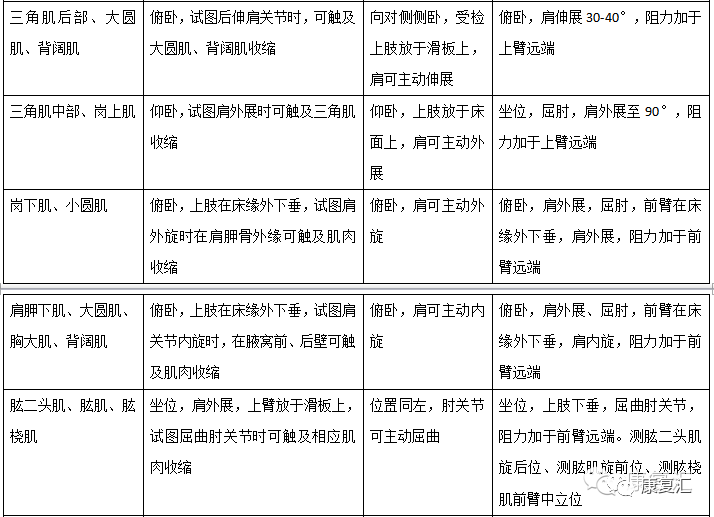 沙滩椅属于什么类目,沙滩椅的类目归属与现状评估解析说明——VR版 70.49.56,实地考察数据解析_GT60.47.19