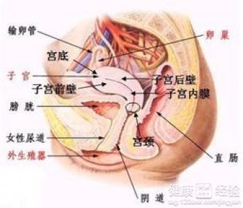 盆腔积液是什么原因造成的危害大吗