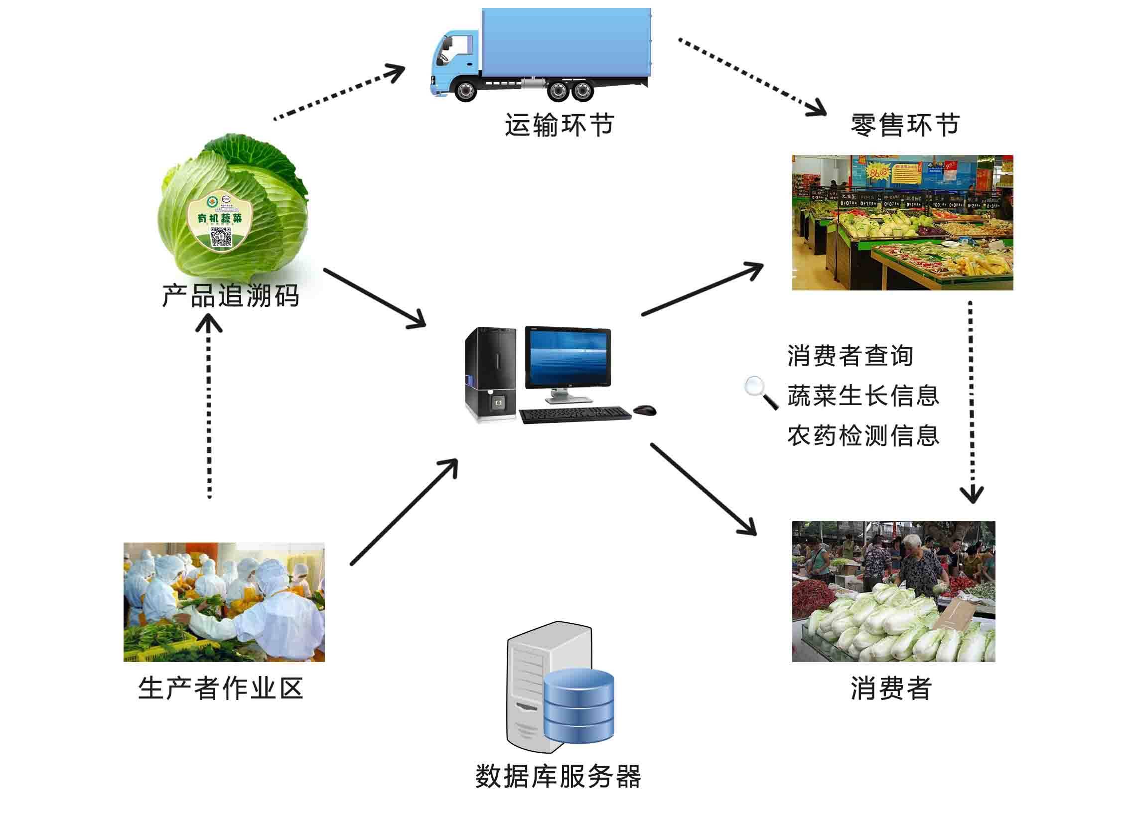 照明网与微特电机研究所的关系