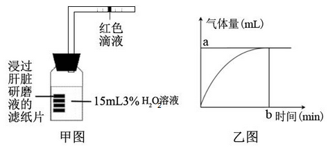 过滤器与隧道灯带的作用区别