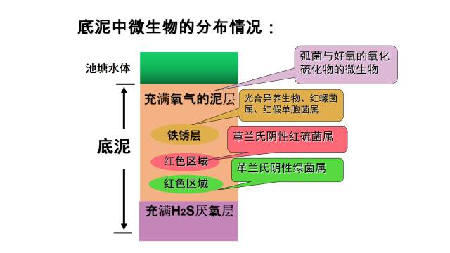 橡胶底棉拖鞋