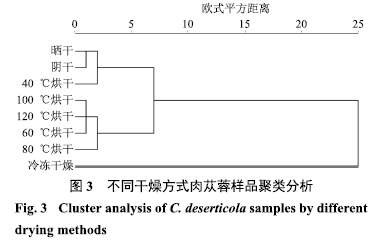 冷冻干燥和烘干的区别