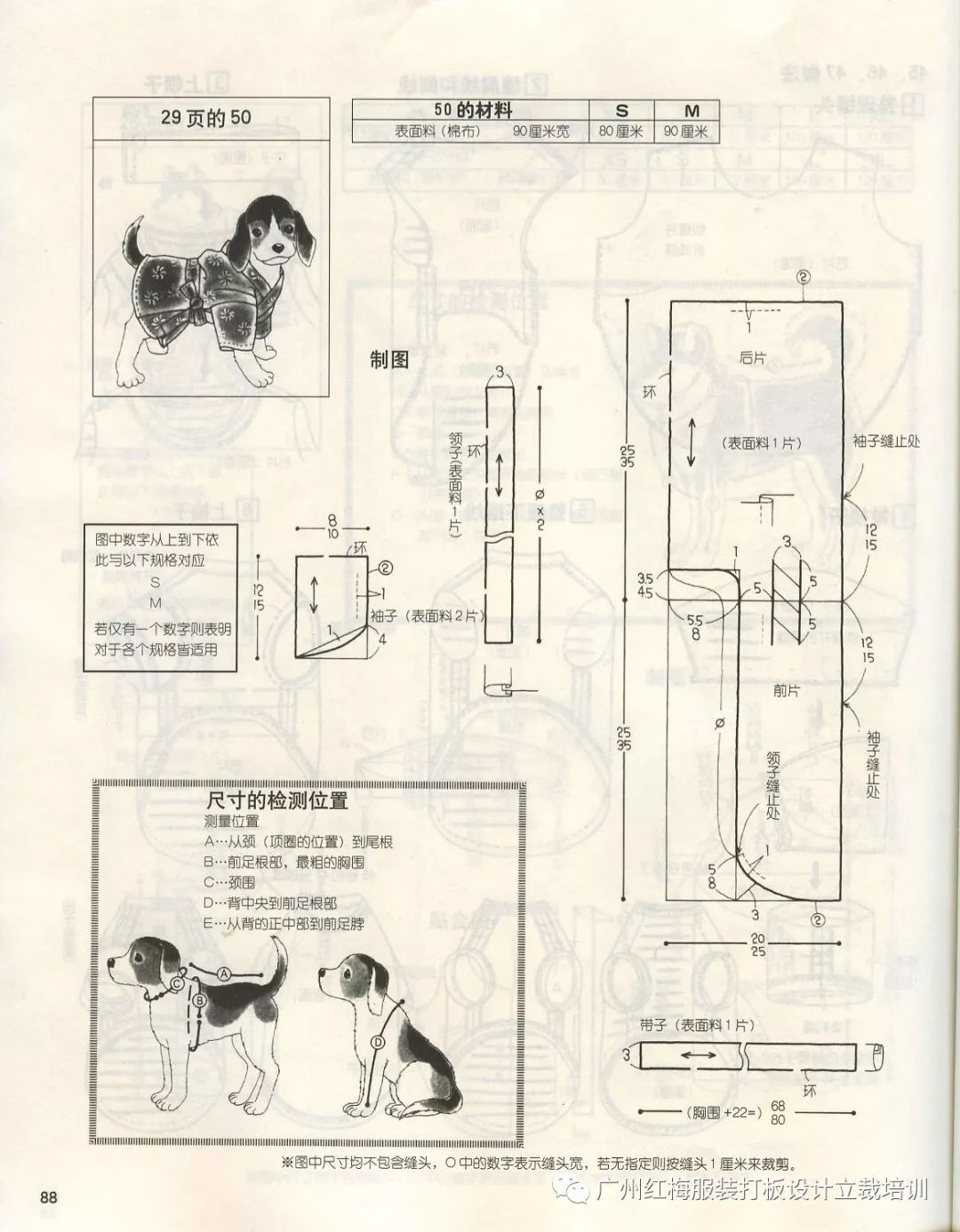 宠物服装设计的产品与服务