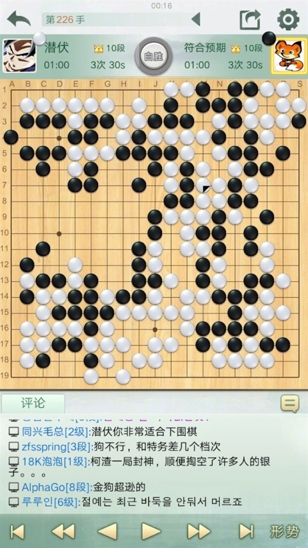 围棋狗的照片