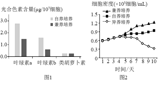 光反应时实验报告