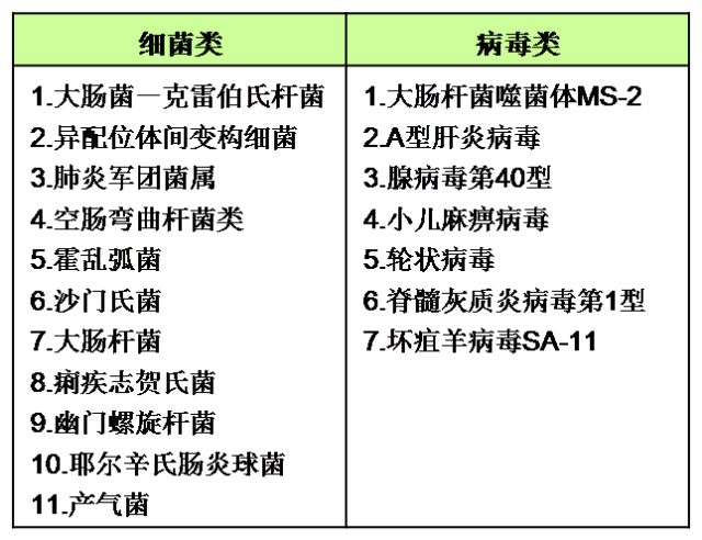 验钞灯和紫外线灯一样吗