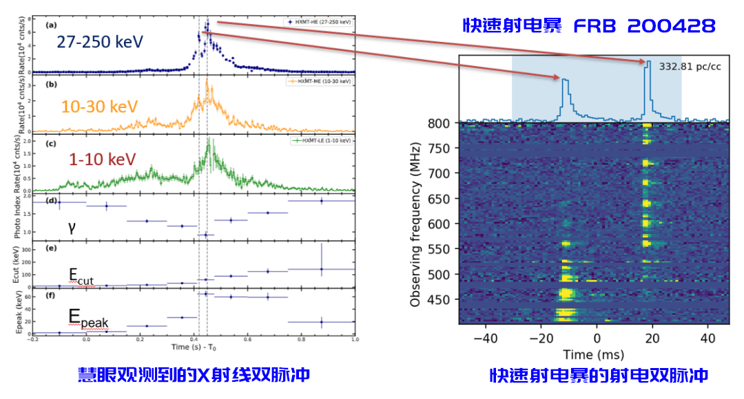 皮革和tpu皮革