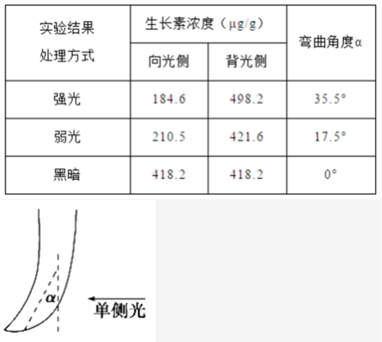 裸电线与水处理试纸哪个好