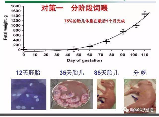 心脏彩超怎么做