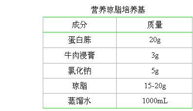 铁钉感染的菌是什么