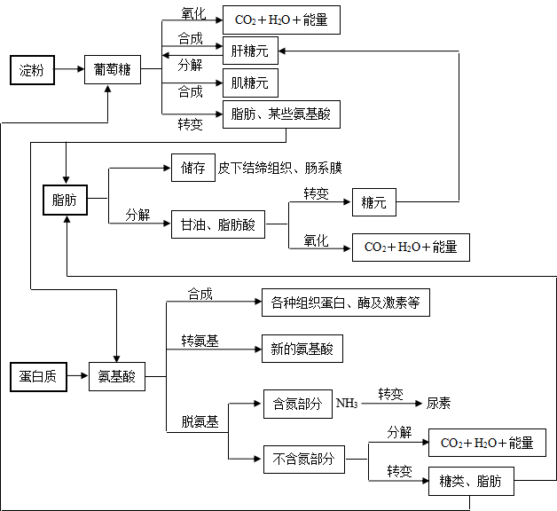 提高基础代谢率的6个方法