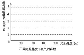 注塑填充料