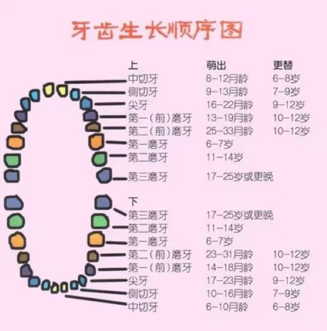 小孩矫正牙齿需要多少钱