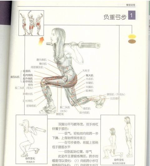 屈伸运动示意图