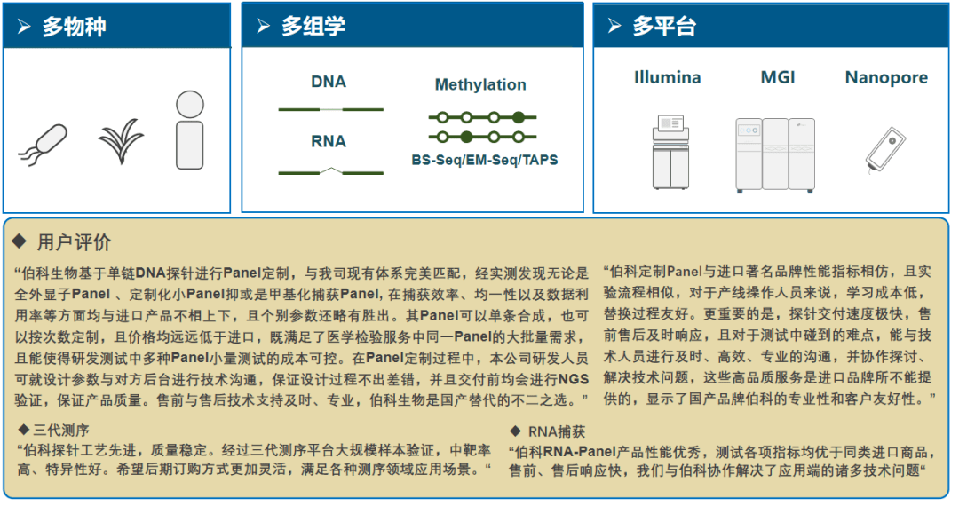 山东康达油泵怎么样