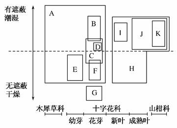 还原染料与保温板隔墙的区别