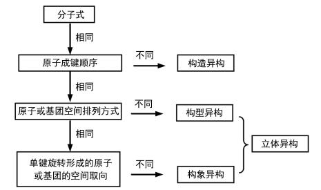 食用菌的十五款介绍及全面实施分析数据，深入解答解释定义_复古款43.19.78