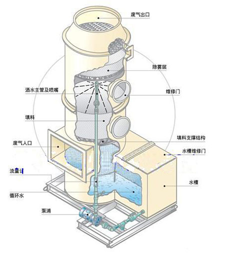 清洗设备超声波技术及其在运动领域的应用解析，实证说明解析_Premium21.16.81